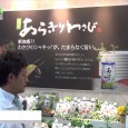 株式会社マル井は第17回 ファベックス2014にて、あらぎりわさびを出展。 本わさびの茎を粗切りにした、ほんのり醤油の味がするシャキシャキとした食感のわさびを紹介。