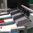 シンフォニアテクノロジー株式会社は施設園芸・植物工場展(GPEC) 2014にて、トマト用糖度選別機を出展。 光センサによって非破壊で、高速・高精度にトマトを糖度選別する省スペース設計の選別機を紹介。