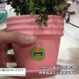 韓国手工芸協会は25th SIPREMIUMにて、USB充電器付きハンジ(韓紙)製LEDスタンドライトを出展。 ハンジ(韓紙)で作られた花の中にLEDを埋め込んだUSB充電器付きスタンドライトを紹介。