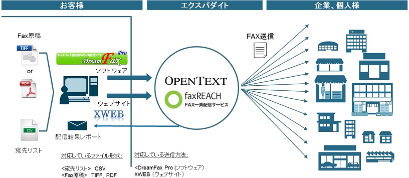 エクスパダイト１