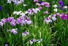 今週の展示会スケジュール(5/7~5/12)