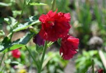 今週の展示会スケジュール(9/1~9/7)