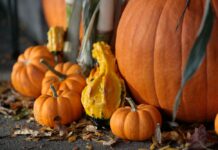 展示会スケジュール(10/27~11/3)