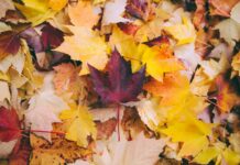 今週の展示会スケジュール(11/4~11/9)