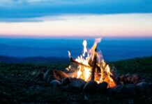 今週の展示会スケジュール(11/17~24)