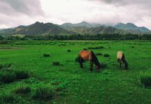 今週の展示会スケジュール(1/5~1/12)