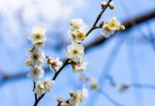 今週の展示会スケジュール(2/24~3/1)