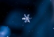 今週の展示会スケジュール(2/2~2/8)