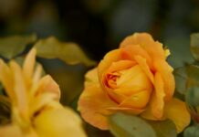 今週の展示会スケジュール(2/16~2/22)