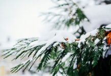 今週の展示会スケジュール(2/9~2/15)