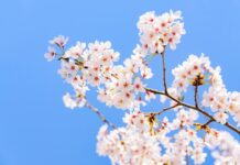 今週の展示会スケジュール(3/23~3/29)