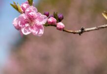 今週の展示会スケジュール(3/16~3/22)