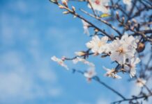 今週の展示会スケジュール(3/30~4/5)