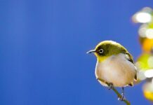 今週の展示会スケジュール(3/9~3/15)