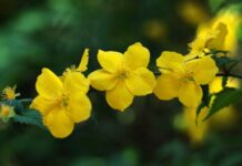 今週の展示会スケジュール(4/13~4/19)