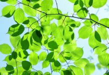 今週の展示会スケジュール(4/20~4/26)